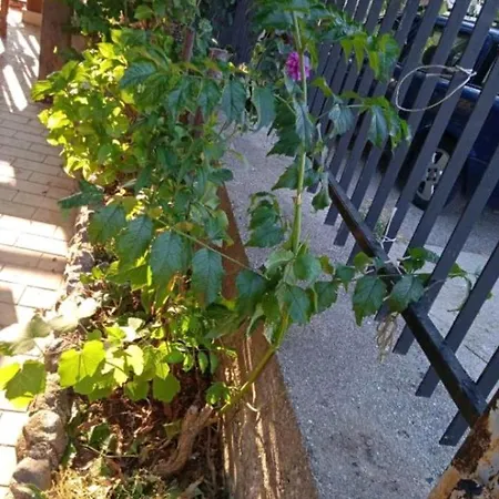 Ninetta Couette-café