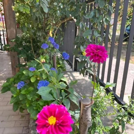 Ninetta Couette-café Parenti