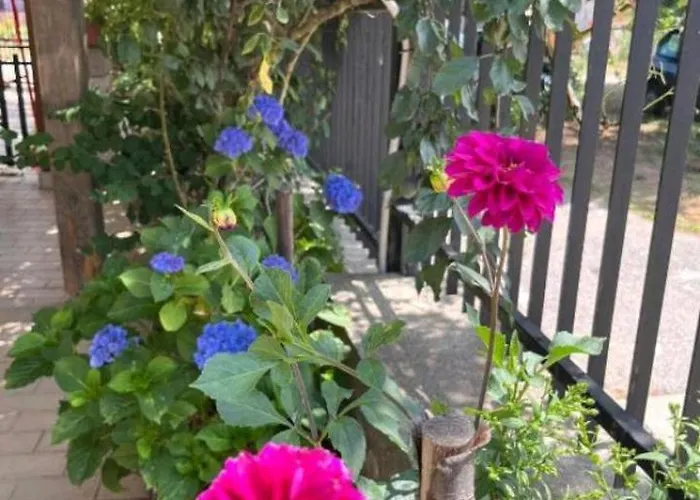 Ninetta Panzió Parenti